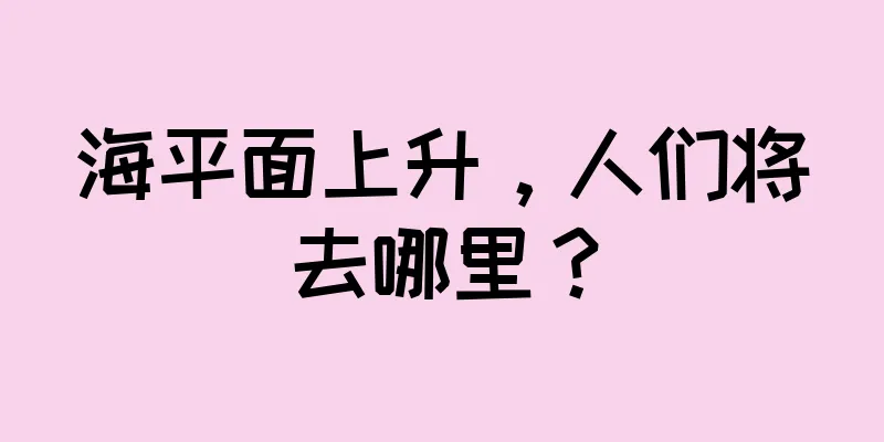 海平面上升，人们将去哪里？