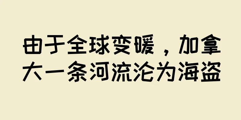 由于全球变暖，加拿大一条河流沦为海盗