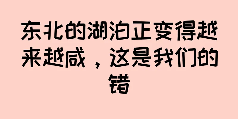 东北的湖泊正变得越来越咸，这是我们的错