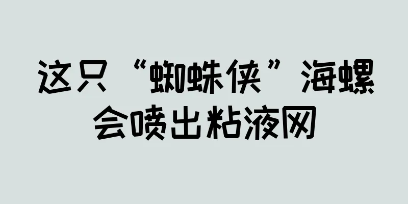 这只“蜘蛛侠”海螺会喷出粘液网