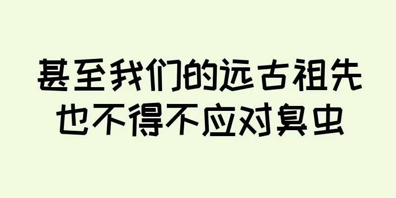 甚至我们的远古祖先也不得不应对臭虫