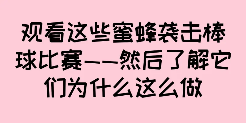 观看这些蜜蜂袭击棒球比赛——然后了解它们为什么这么做