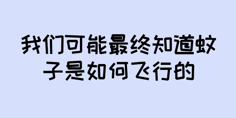 我们可能最终知道蚊子是如何飞行的