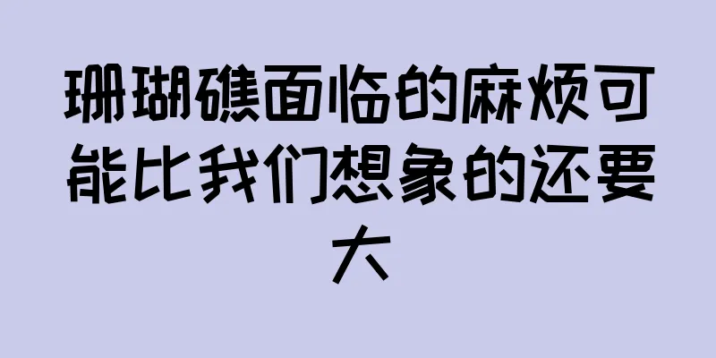 珊瑚礁面临的麻烦可能比我们想象的还要大