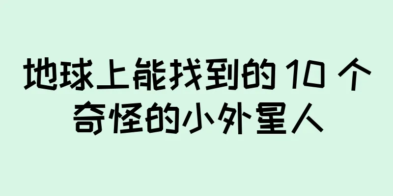 地球上能找到的 10 个奇怪的小外星人