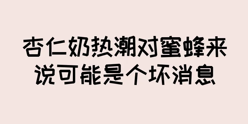 杏仁奶热潮对蜜蜂来说可能是个坏消息