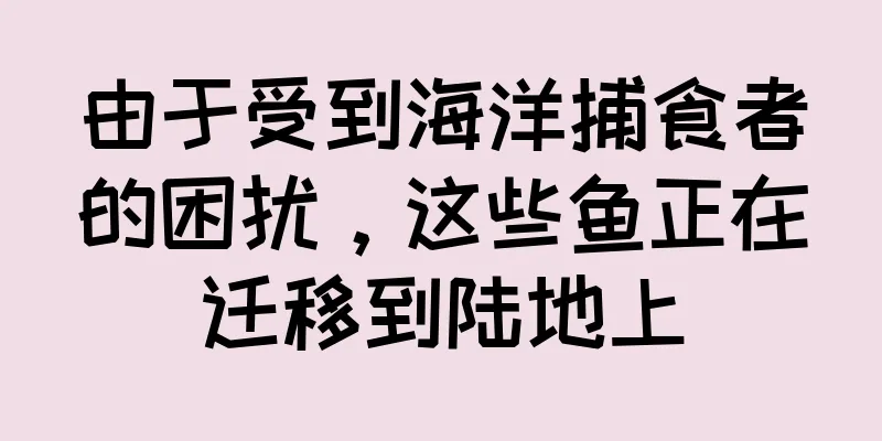 由于受到海洋捕食者的困扰，这些鱼正在迁移到陆地上