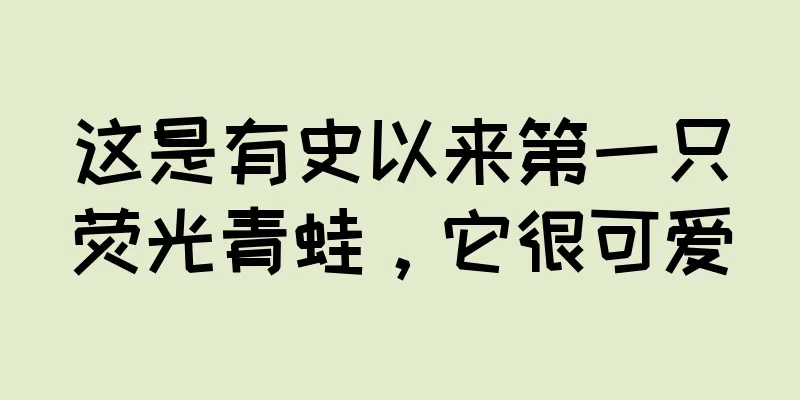 这是有史以来第一只荧光青蛙，它很可爱