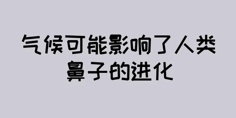 气候可能影响了人类鼻子的进化