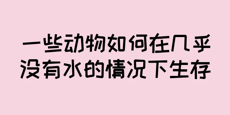 一些动物如何在几乎没有水的情况下生存
