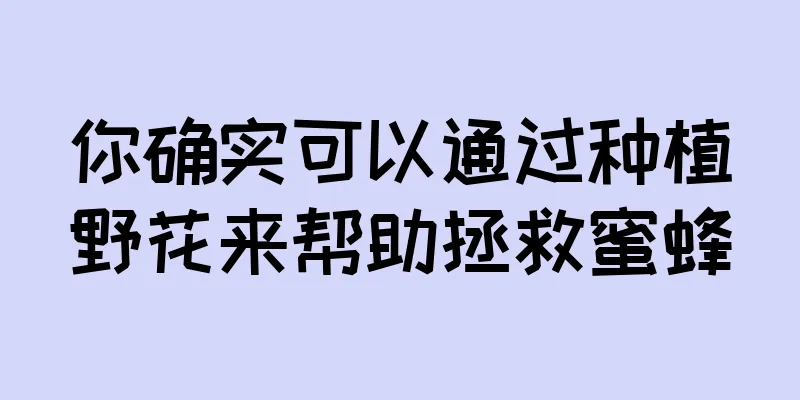 你确实可以通过种植野花来帮助拯救蜜蜂