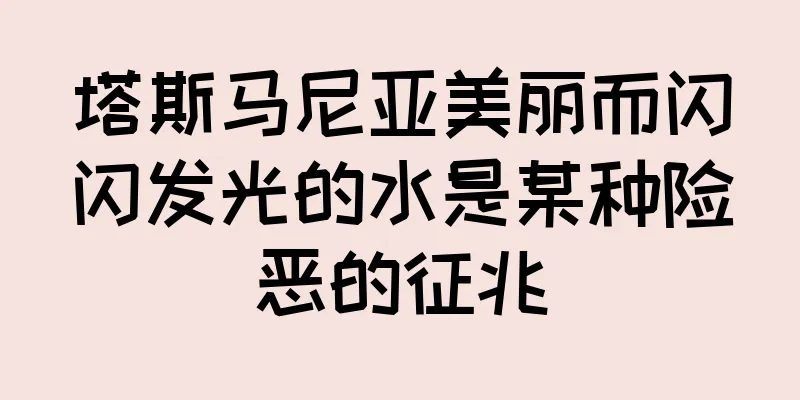 塔斯马尼亚美丽而闪闪发光的水是某种险恶的征兆