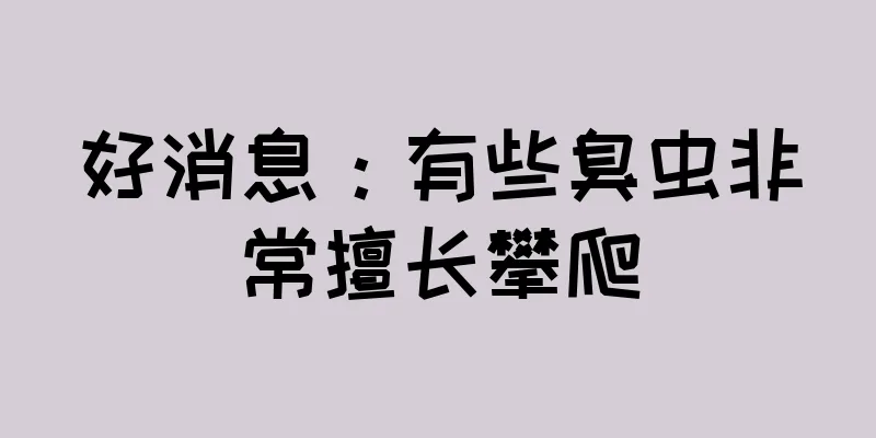 好消息：有些臭虫非常擅长攀爬