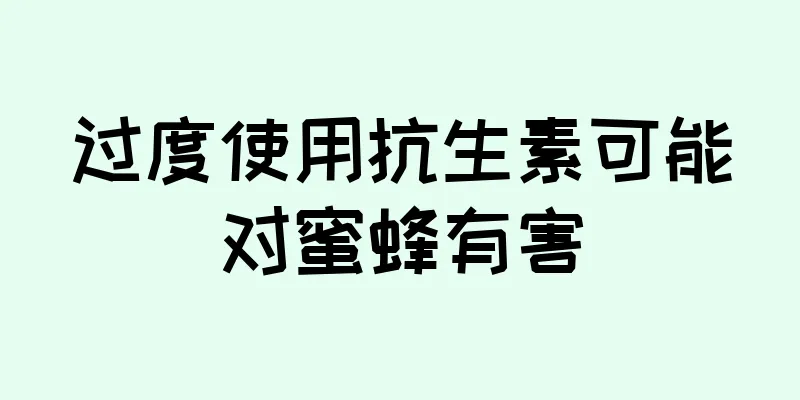 过度使用抗生素可能对蜜蜂有害