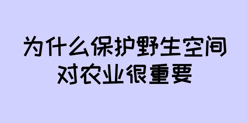 为什么保护野生空间对农业很重要