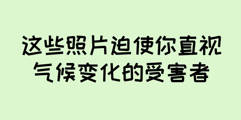 这些照片迫使你直视气候变化的受害者