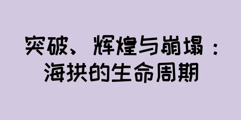 突破、辉煌与崩塌：海拱的生命周期