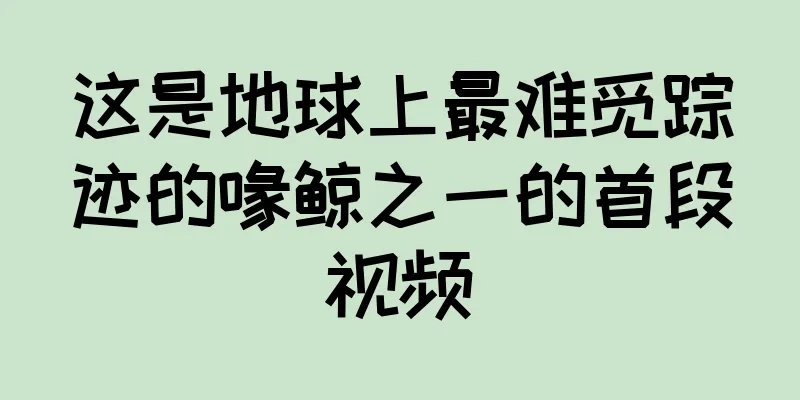 这是地球上最难觅踪迹的喙鲸之一的首段视频