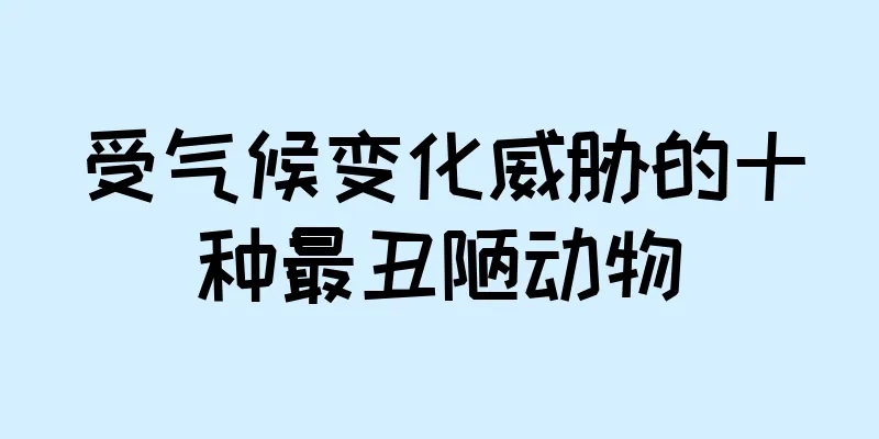 受气候变化威胁的十种最丑陋动物