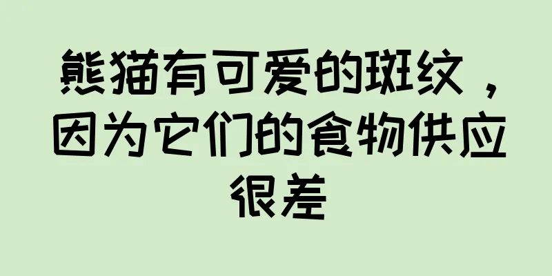 熊猫有可爱的斑纹，因为它们的食物供应很差