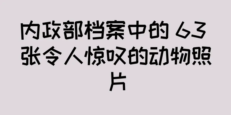 内政部档案中的 63 张令人惊叹的动物照片
