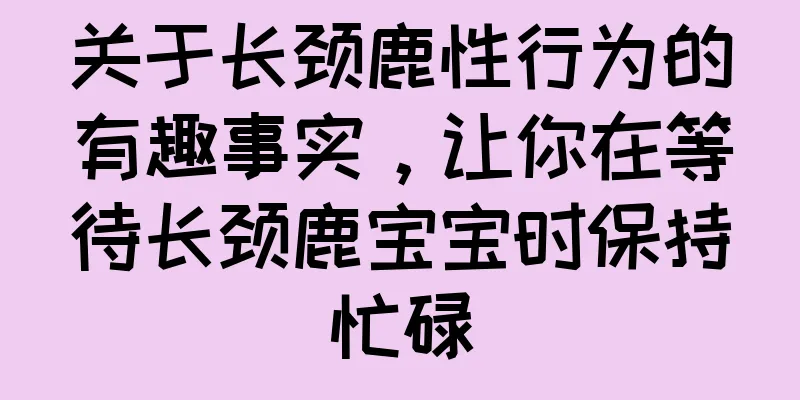 关于长颈鹿性行为的有趣事实，让你在等待长颈鹿宝宝时保持忙碌