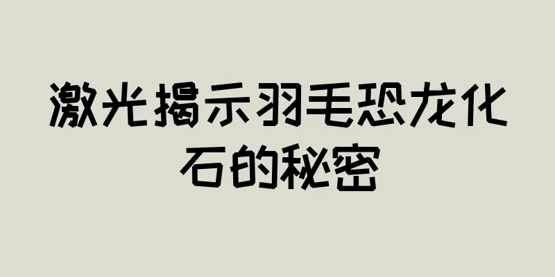激光揭示羽毛恐龙化石的秘密