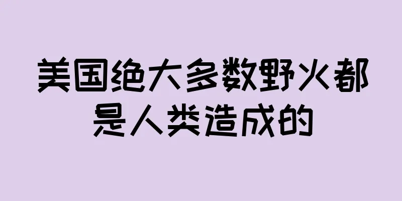 美国绝大多数野火都是人类造成的