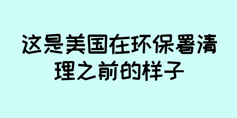 这是美国在环保署清理之前的样子