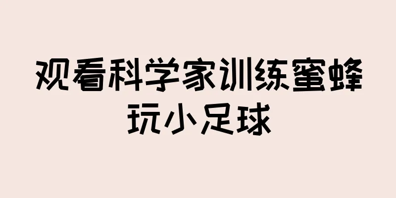 观看科学家训练蜜蜂玩小足球