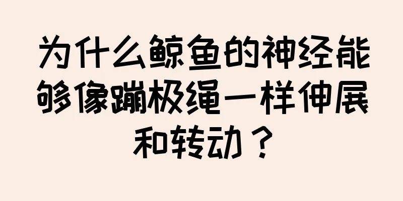 为什么鲸鱼的神经能够像蹦极绳一样伸展和转动？