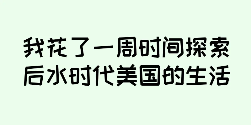 我花了一周时间探索后水时代美国的生活
