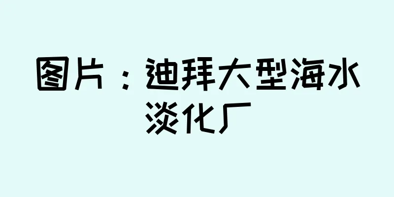 图片：迪拜大型海水淡化厂
