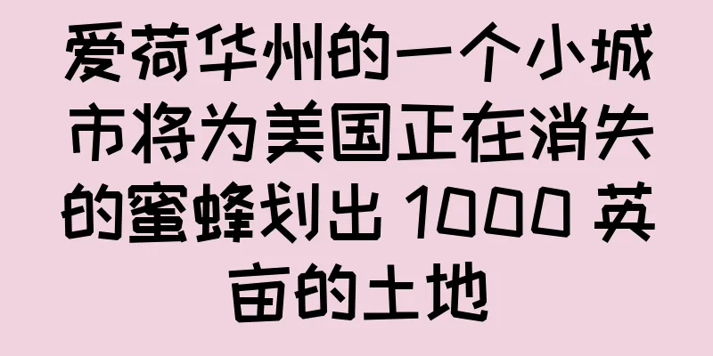 爱荷华州的一个小城市将为美国正在消失的蜜蜂划出 1000 英亩的土地