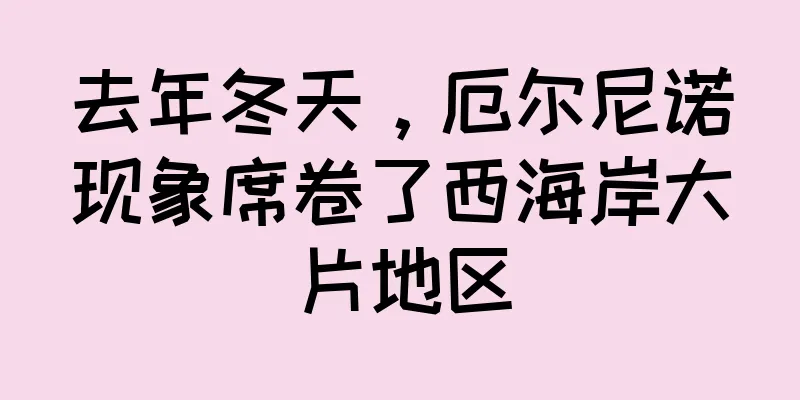 去年冬天，厄尔尼诺现象席卷了西海岸大片地区