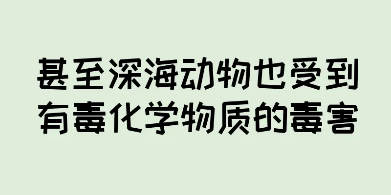 甚至深海动物也受到有毒化学物质的毒害