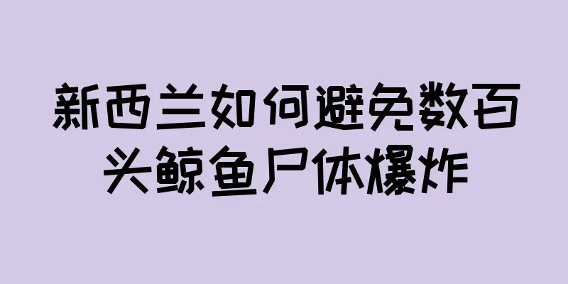 新西兰如何避免数百头鲸鱼尸体爆炸