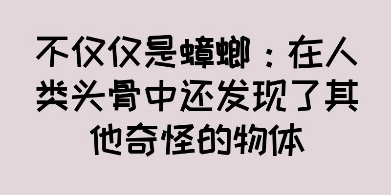 不仅仅是蟑螂：在人类头骨中还发现了其他奇怪的物体