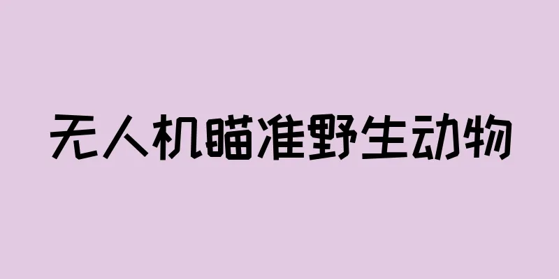 无人机瞄准野生动物