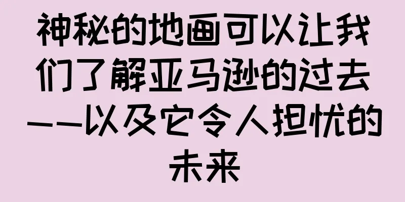 神秘的地画可以让我们了解亚马逊的过去——以及它令人担忧的未来