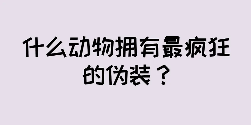 什么动物拥有最疯狂的伪装？