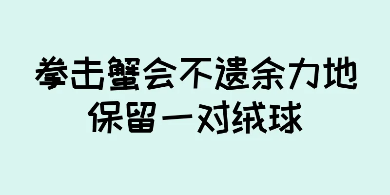 拳击蟹会不遗余力地保留一对绒球