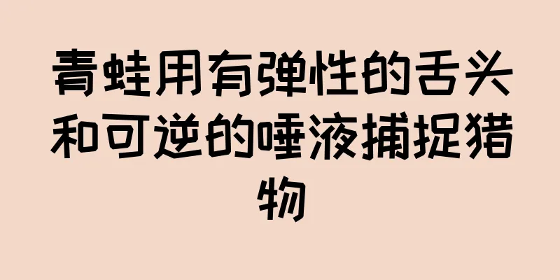 青蛙用有弹性的舌头和可逆的唾液捕捉猎物