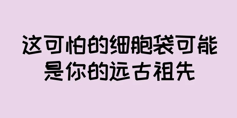 这可怕的细胞袋可能是你的远古祖先