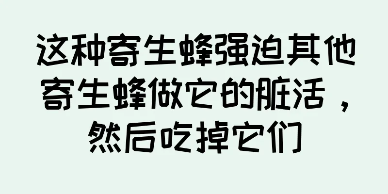这种寄生蜂强迫其他寄生蜂做它的脏活，然后吃掉它们