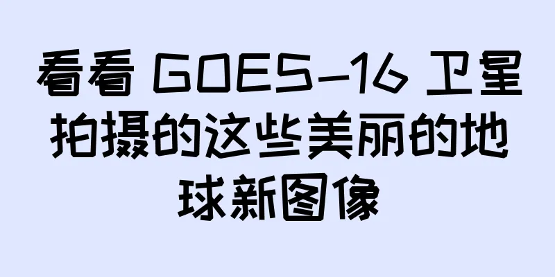 看看 GOES-16 卫星拍摄的这些美丽的地球新图像