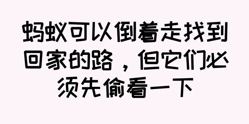 蚂蚁可以倒着走找到回家的路，但它们必须先偷看一下