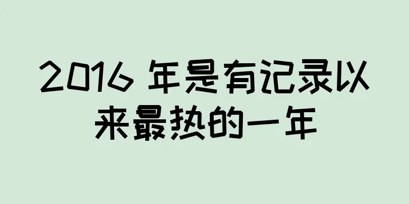 2016 年是有记录以来最热的一年