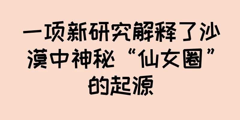 一项新研究解释了沙漠中神秘“仙女圈”的起源