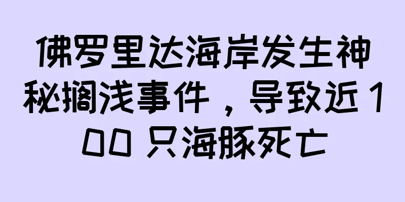 佛罗里达海岸发生神秘搁浅事件，导致近 100 只海豚死亡